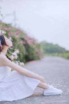 青云志第一季